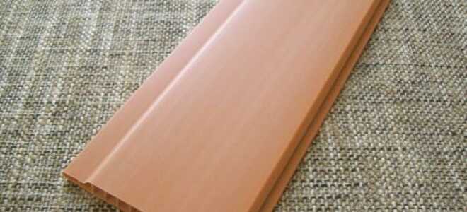 Какая вагонка лучше: выбираем породу дерева