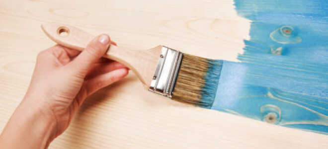 Как красиво покрасить деревянную обшивку стены – обзор материалов и технология нанесения краски