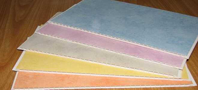 Популярная вагонка ПВХ для наружных и внутренних работ